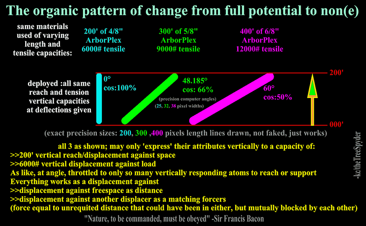 the-organic-pattern-of-change-from-full-potential-to-none.png