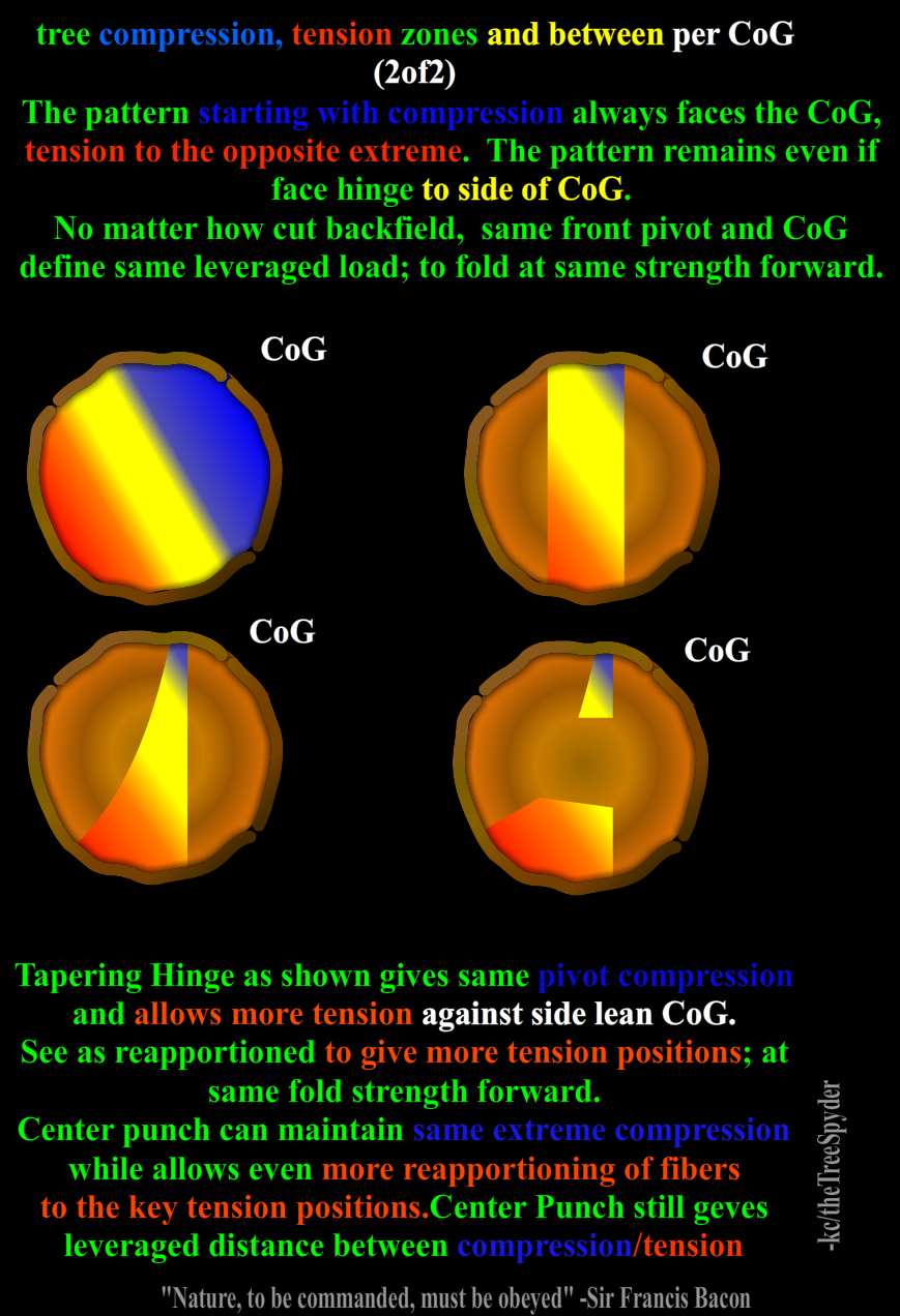 tree-compression-tension-zones-and-between-per-center-of-gravity-2of2.png
